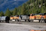 BNSF 6595/8085/NS 9810